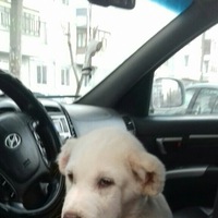 Влад Карасёв