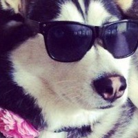 Саша Чикинёв