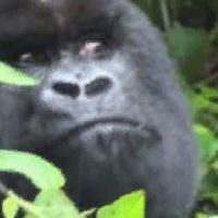 Артур Хачатрян