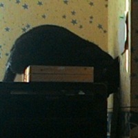 Матвей Коломыйко