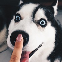 Костя Колечков