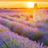 Саша Чикинёв(1)