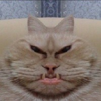 Никита Ларин