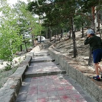 Дмитрий Зубов