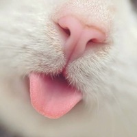 Арсений Золотченко