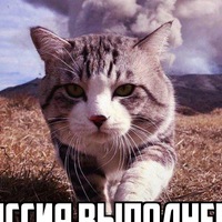 Даниил Никитин