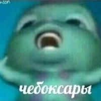 Андрей Зайцев