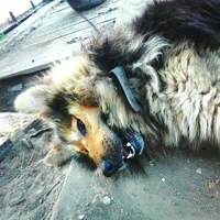 Потапов Вячеслав