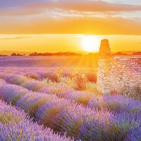 Слава Карачин