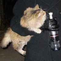 Митюха Домбасов