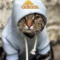 Никита Новгородов