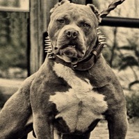 Кирилл Кобелев