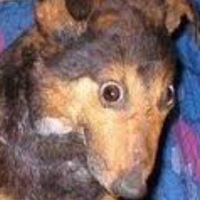 Настюша Костина