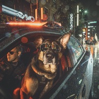 Марат Шафигуллин