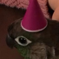 Кирилл Уколов