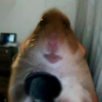 Данил Суханов