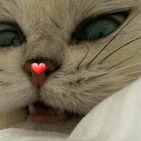 Макс Фролов