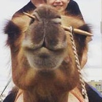 Илья Андрейченко