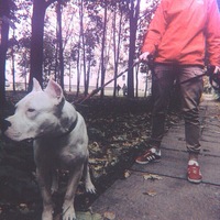 Август Любимов