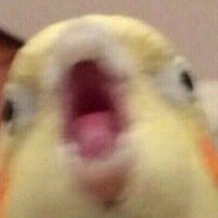 Пётр Шейкин