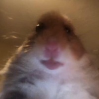 Илья Михайлов