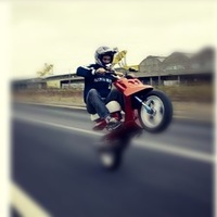 Антон Ваульчиков