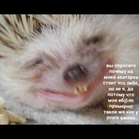 Иван Рожков