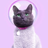 Хикка Ххххххххххххххххххххх