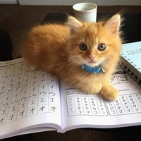 Мансур Мазанов