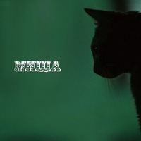 Миша Башляков