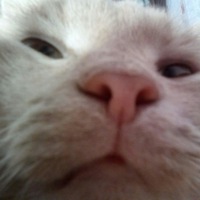 Игорь Поздеев