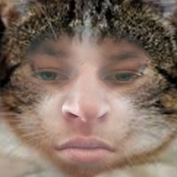 Владислав Сургутов