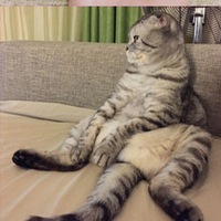 Василий Михеев