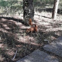 Акмаль Джалалидинов