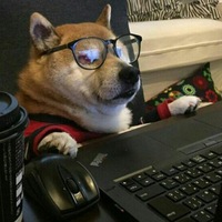 Данил Мазуров