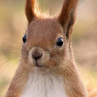 Вячеслав Михайлов