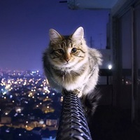 Александр Бяшеков