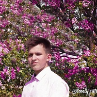 Михаил Сологуб