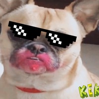 Илья Сердюков