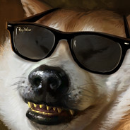 ПРАФИСИАНАЛ