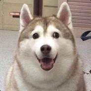 Виктор Заебало