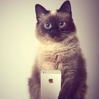 Данил Бойков