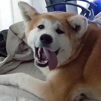 Илья Черебков