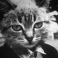 Денис Степанов