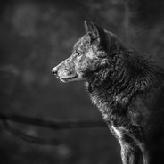 ₡҈Ⱥ҈М҈ П҈Ǿ ₡҈ɆБɆ(1)