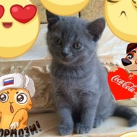 Стёпа Дороганов