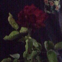 Вадим Макаров