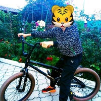 Саша Курский