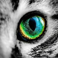 Иван Пушкарев