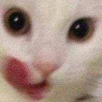 Павел Хованский